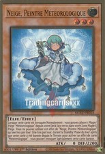 Yu-Gi-Oh! Neige, Peintre Météorologique : PGR MGED-FR016