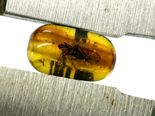 AMBRE avec perle de tonneau