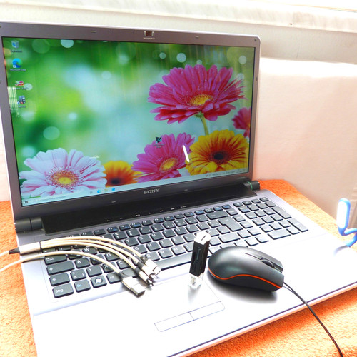 Sony vaio aw21 pouces hdp - 18,