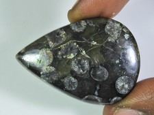 AA++ 55Cts. Cabochon de poire