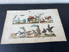 Gravure ancienne rehaussée -
