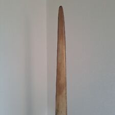 Taxidermie, véritable rostre