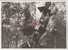 Photo, ww2, pilote survit à son accident d'avion dans la forêt (N)50877