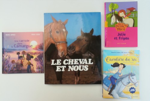 Lot cheval cavalière - , poney