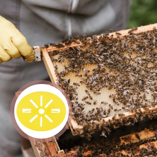 Pcs materiel apiculture - materiel,