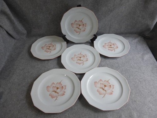 Assiettes plates en - assiettes,