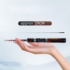 Canne à pêche télescopique