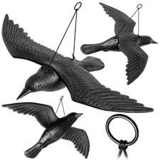 Corbeau Anti-Pigeon en
