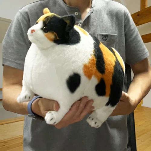 Peluche chat zoo gras - , animaux