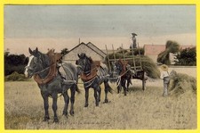 cpa Cachet SOURS (Eure et Loire) En BEAUCE ATTELAGE AGRICOLE La Rentrée du GRAIN