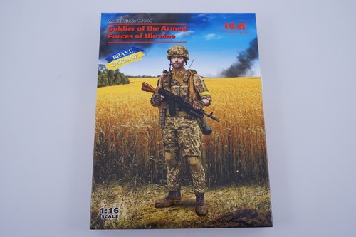Icm soldier the armed - of,