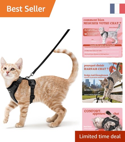 Harnais laisse pour chat xs - laisse,