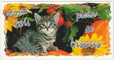 CHATON carte postale n° 6026/19 CHATONS CHATS CHAT POUR TOI PLEIN DE BISOUS