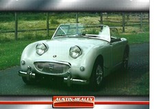 Fiche Photo / AUSTIN HEALEY SPRITE