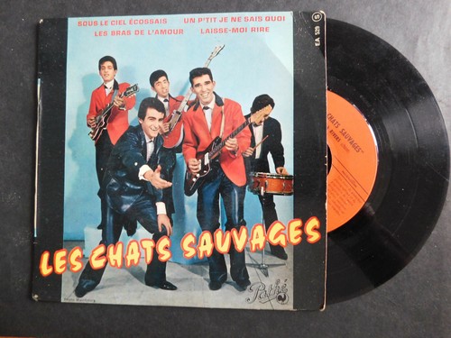 Tours les chats sauvages - tours,