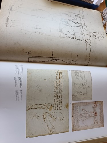 Livre léonard vinci par - livre,