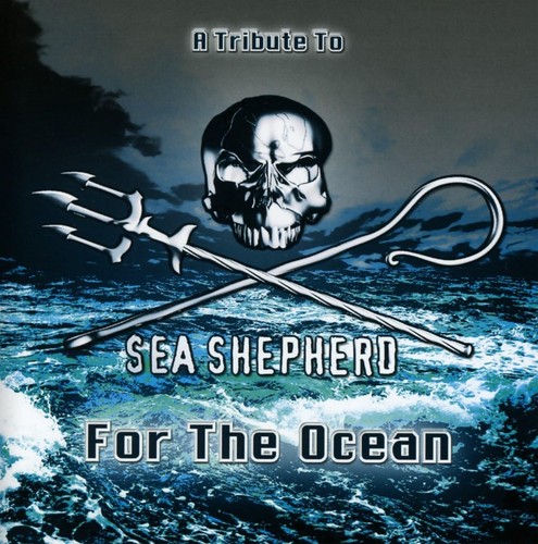 Various tribute sea - to,