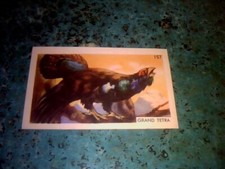 Chromo image entremets