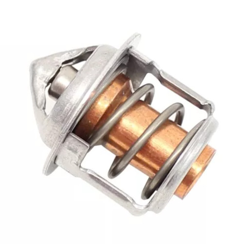 Mini pelleteuse thermostat - mini,