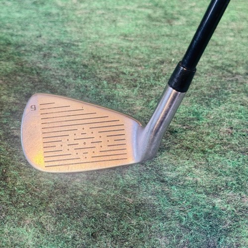 Golden bear accuforce - accuforce, 9