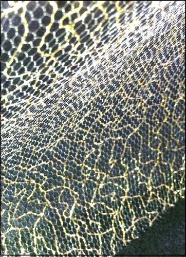 Tulle souple décoration - souple,