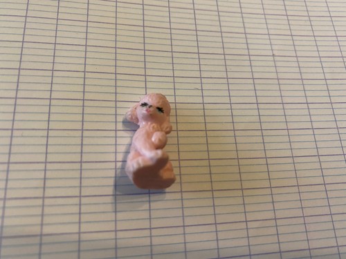 Tout petit chien puppy - petit, dog