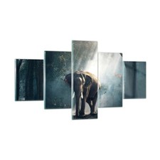 Impression sur Verre 125x70cm Tableaux Image Photo éléphant nature Decoration