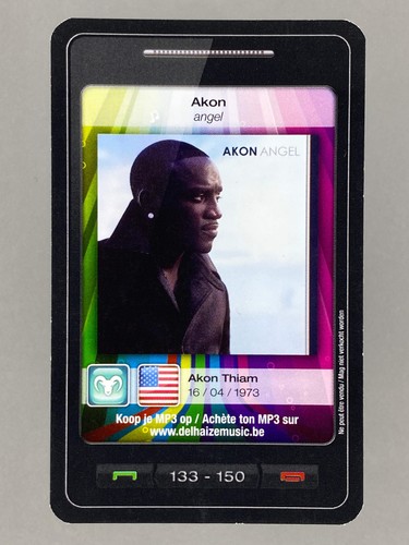 2011 delhaize 133 akon - #133,