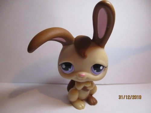Petshop lapin garenne - petshop, de