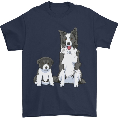 Border collie chiot - a,