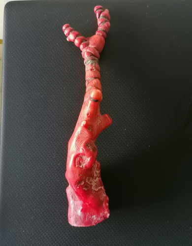 Grande branche corail - , antique