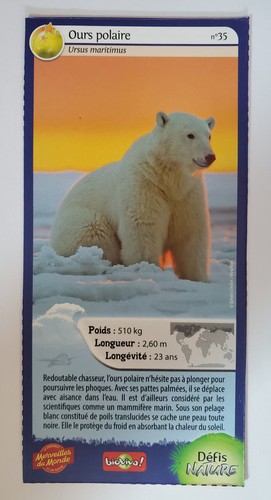 Nestle carte merveilles - -,