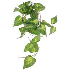  Accessoires D'aquarium De