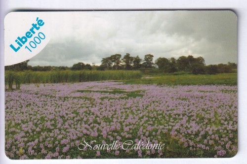 Nouvelle caledonie telecarte - telecarte, /