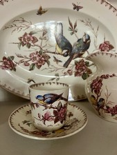 Magnifiques tasse et soucoupe Lunéville terre de fer Polychrome modèle Mésange