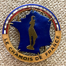 Insigne broche ecole ski - insigne,