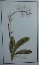 DMC KIT A  BRODER *ORCHIDEE PHALAENOPS*.TOILE LIN.POINT DE CROIX.FIL MOULINE DMC