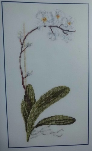 Dmc kit broder orchidee - dmc, a