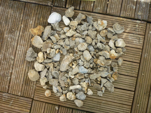 Lot fossils provenant - lot,
