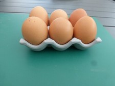 SUPPORT à OEUFS en JESMONITE