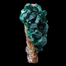 ★☆ DIOPTASE CONGO de Mindouli mining district - 4,5 cm - A42-15 ☆★