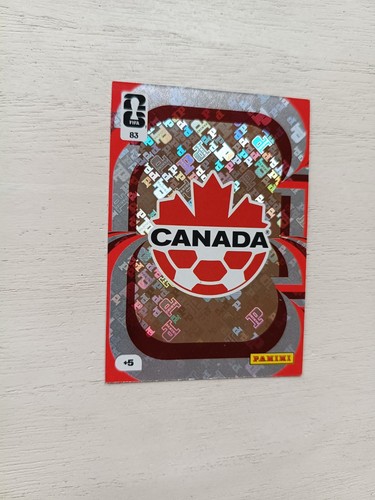 Panini ecusson badge - panini,