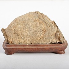 Bonsaï Suiseki pierre