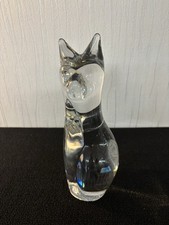 Chat debout brillant en