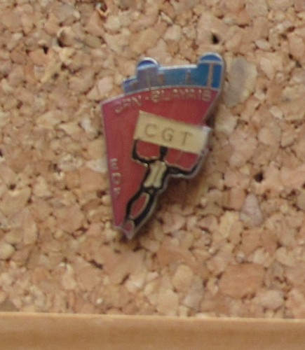 Pin edf cpn cgt blayais - pin's,