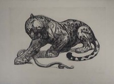 Paul JOUVE : Jaguar et serpent, Gravure originale