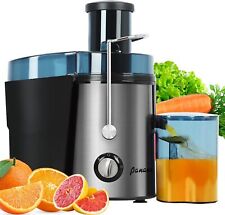 Centrifugeuse Extracteur de Jus, 1000W Centrifugeuse Fruits et Légumes à 2 Vites
