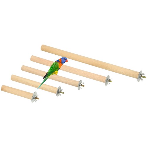Perchoir pour perroquet - , en