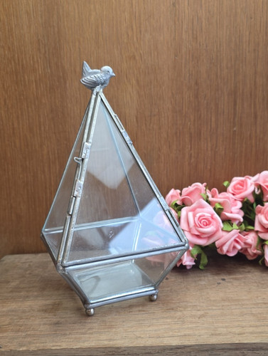 Terrarium géométrique plante - terrarium,