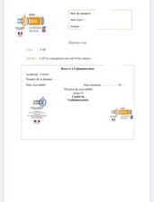 livret 2 VAE CAP AEPE ( accompagnement éducatif petite enfance)